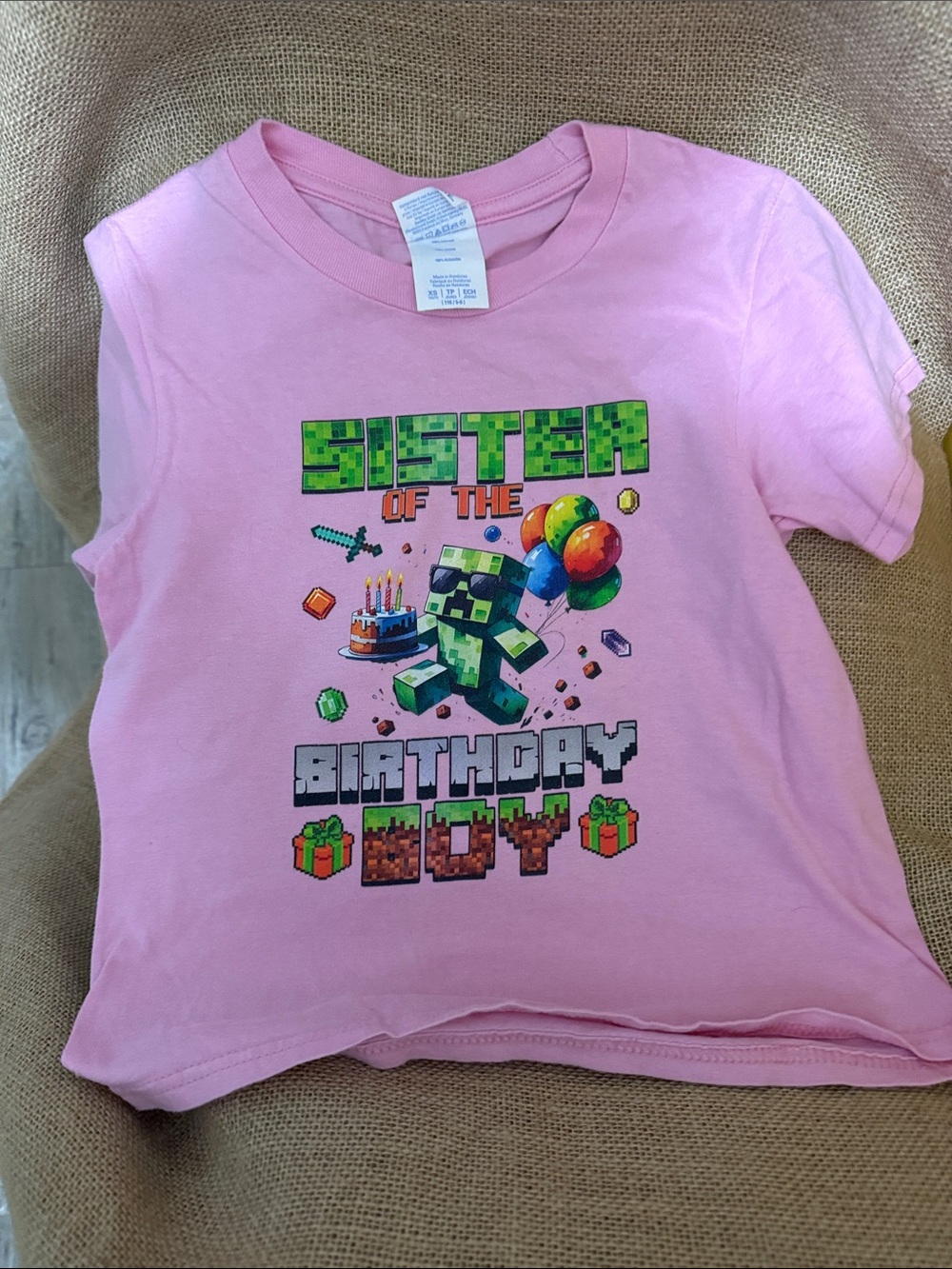 Minecraft sister of the birthday boy tee shirt
